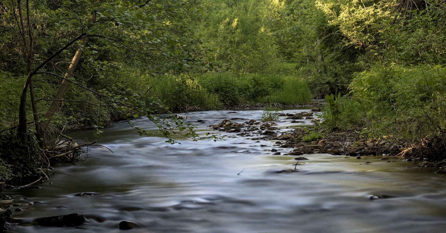 From River to Stream: How Vulnerability Becomes Illness