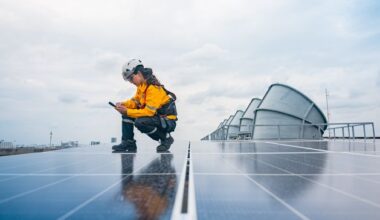 David W Higgins: We will all pay a price if Galway residents successfully oppose solar farm expansion