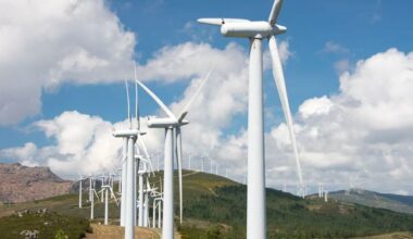 €450m worth of wind energy ‘wasted’ last year due to pressures on the grid