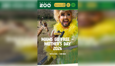 Row erupts over use of 'drag queen' in Dublin Zoo Mother's Day advertising campaign