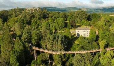 Beyond the Trees Avondale given permission to build new feature ahead of spring events