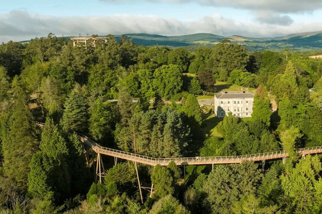 Beyond the Trees Avondale given permission to build new feature ahead of spring events