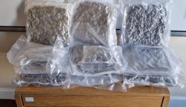 Cannabis worth €281k seized by gardaí and Revenue officers in Co Cavan seizures