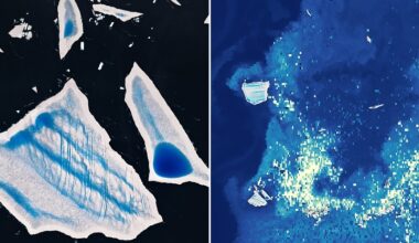 Ailing "Megaberg" Sparks Surge of Microscopic Life