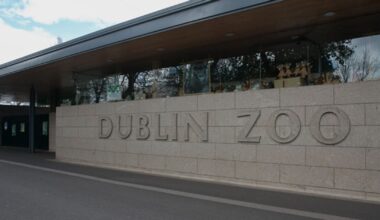 Row erupts over use of 'drag queen' in Dublin Zoo advertising campaign