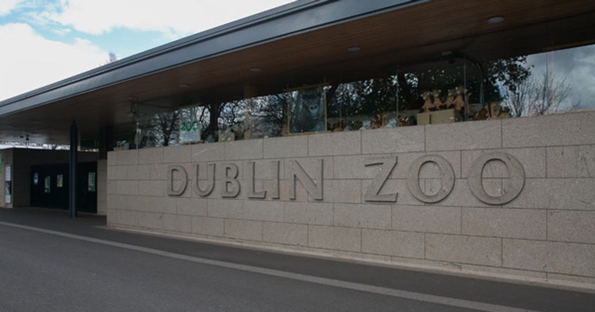 Row erupts over use of 'drag queen' in Dublin Zoo advertising campaign