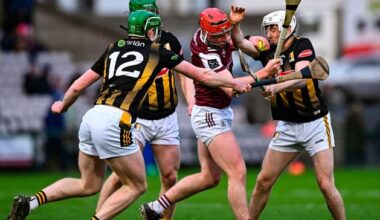 Derek Lyng and Kilkenny left to rue defeat to Aaron Niland-inspired Galway