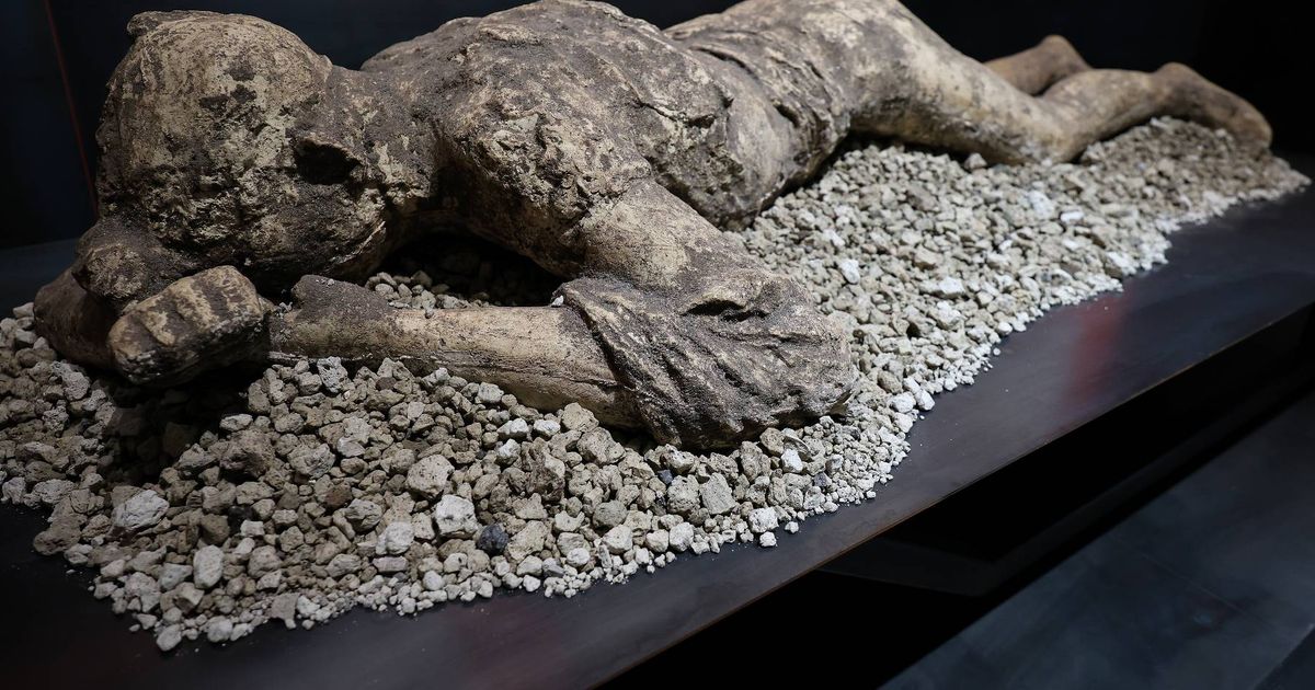 Secret staircase to 'Lost Pompeii' found in groundbreaking archaeological discovery