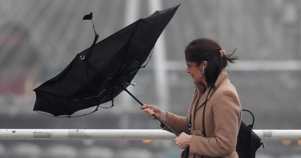 Ireland weather: Experts issue storm warning as wet and windy conditions expected next week