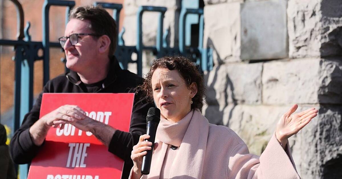 Maternity facilities must be on political radar amid Rotunda debacle, says TD