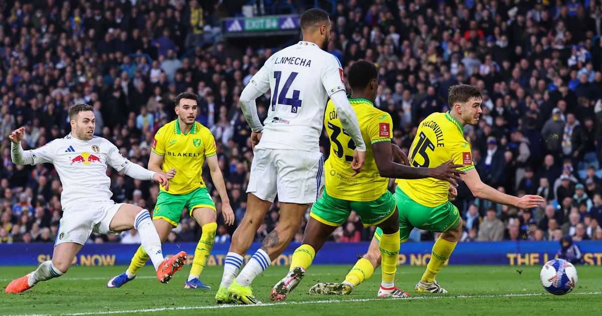 Leeds United player ratings as Gabriel Gudmundsson and Sean Longstaff shine in FA Cup win