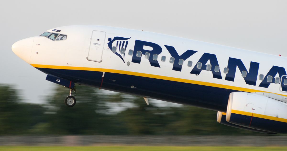 Irish Ryanair passengers urged to pack cardboard in hand luggage to avoid common mistake