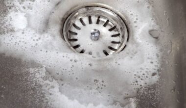 Irish households urged to pour vinegar down the drain this month