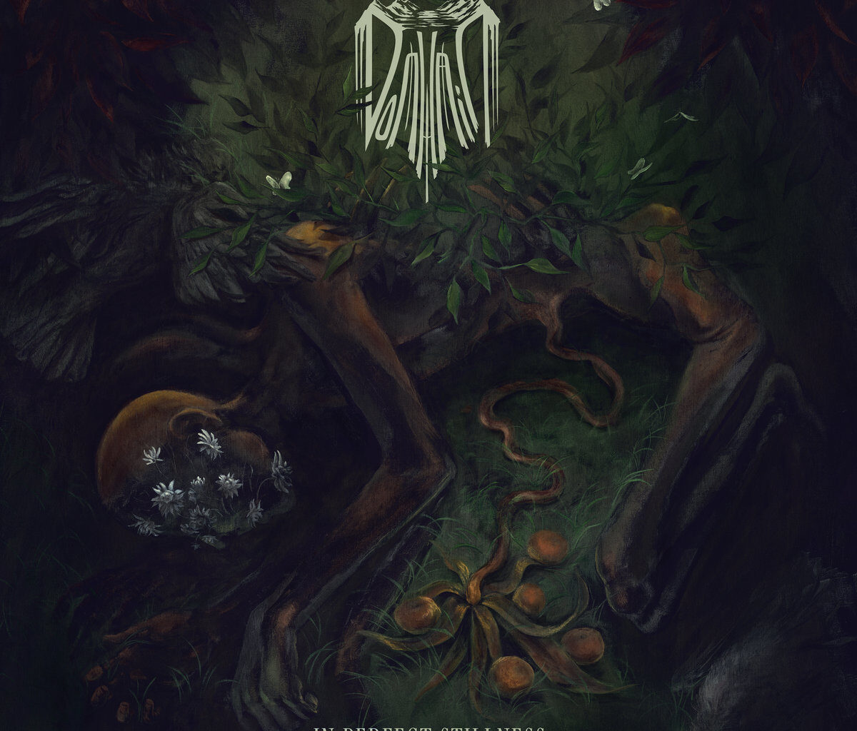 Review: Domhain - In Perfect Stillness