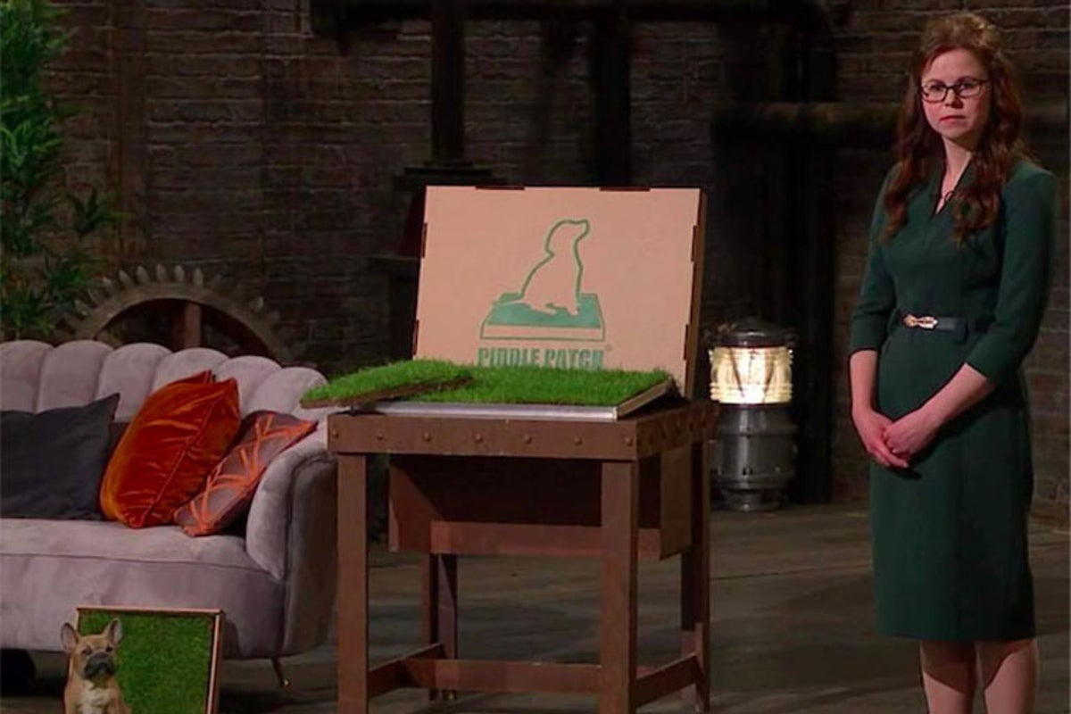 Dragons’ Den entrepreneur wins High Court battle over ‘Piddle Patch’ dog toilet