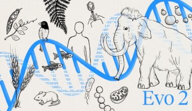 New AI model reads and generates genetic code across all domains of life