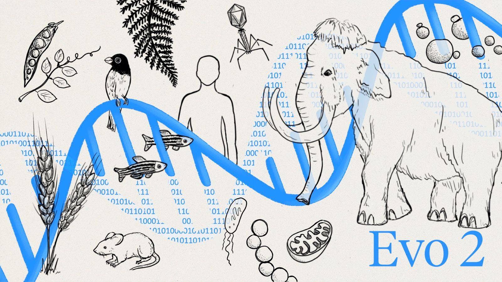 New AI model reads and generates genetic code across all domains of life