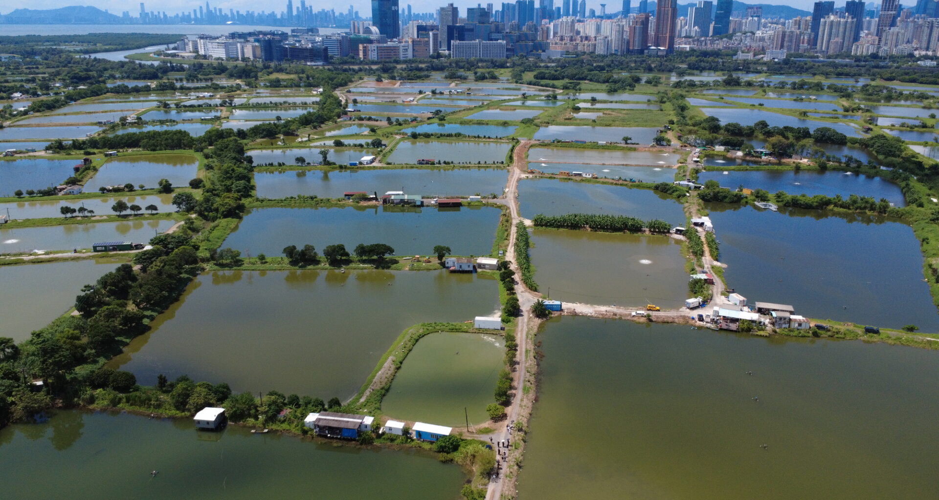 From Cloud to Coast: The Physical Cost of AI in Hong Kong’s Borderlands