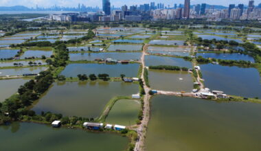 From Cloud to Coast: The Physical Cost of AI in Hong Kong’s Borderlands