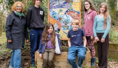 Vibrant mosaics unveiled in Wicklow village by children who hand-cut and painted them
