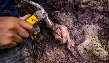 Brazilian scientists discover a new giant dinosaur with links to Spain