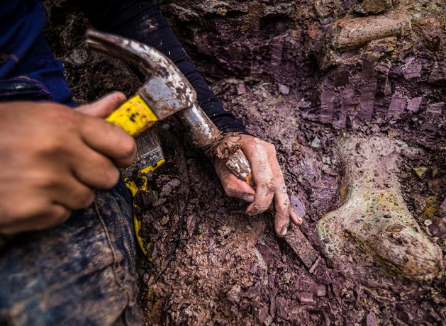 Brazilian scientists discover a new giant dinosaur with links to Spain