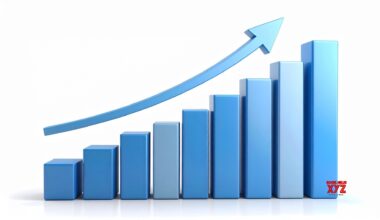 India remains fastest-growing major economy, domestic investors power market resilience