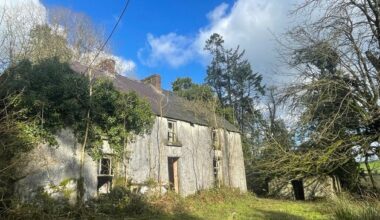 Guide price of €1m for 91ac Cavan farm and old house in ‘fine setting’