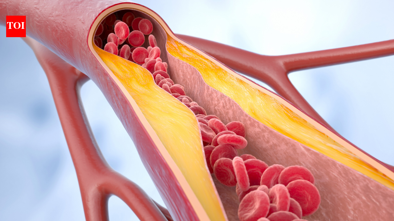 Artery ageing in your 30s? Doctors reveal early warning signs and lifestyle changes that can protect your heart