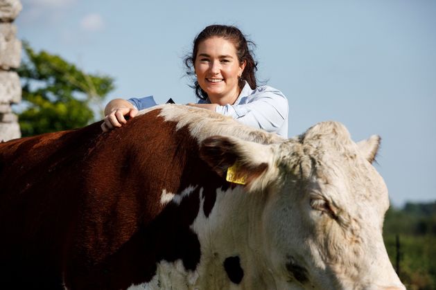 Why I’m turning our stock bull into burgers for the farm shop