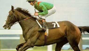 ‘Shergar: The Racehorse and the IRA’ review: Documentary on kidnapping of the famed horse canters over well-trodden turf