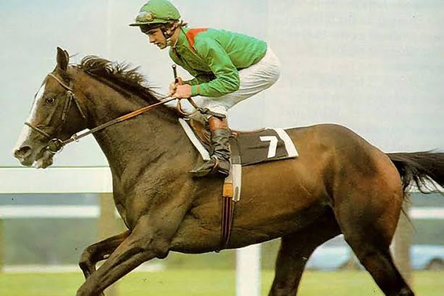 ‘Shergar: The Racehorse and the IRA’ review: Documentary on kidnapping of the famed horse canters over well-trodden turf