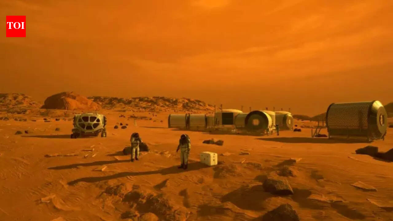 Are there insects and reptiles on Mars? What the research actually says |