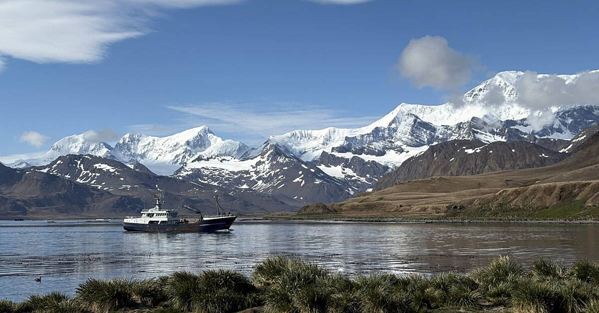 TD calls on Ireland to join Antarctic treaties