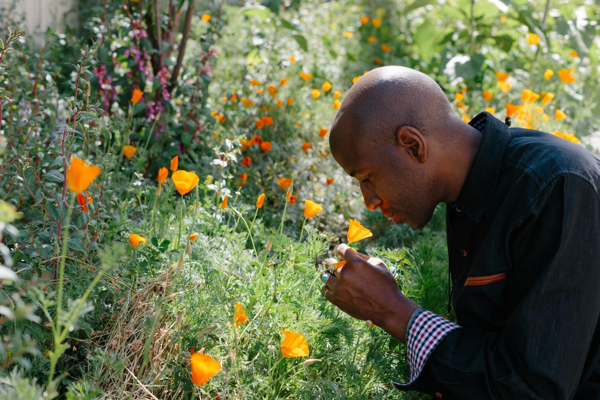 A man sniffs an orange poppy.