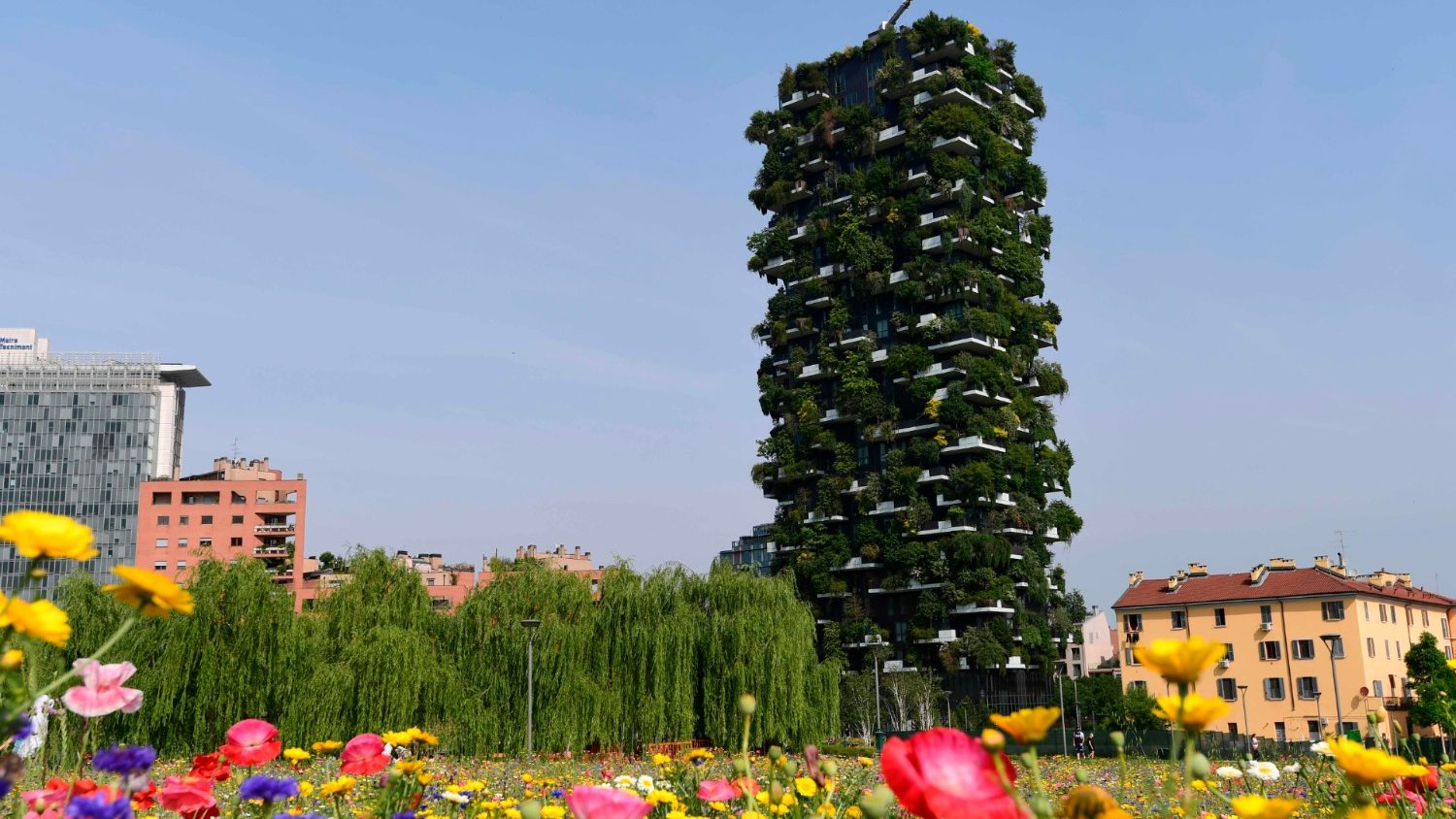 From human bias to shared space: Shaping a future that is within reach