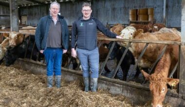 Sucklers, dairy calves and tillage: It’s all in the mix at this 320ac Offaly farm