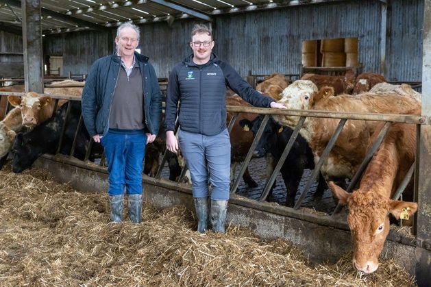 Sucklers, dairy calves and tillage: It’s all in the mix at this 320ac Offaly farm