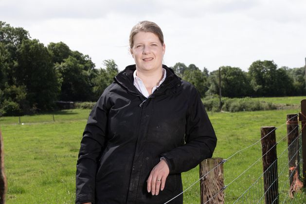 Why we changed our minds on bluetongue vaccination – at a cost of €2,500