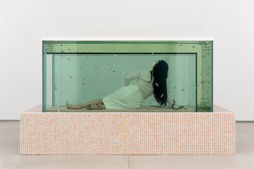 dreamlike aquarium of 'kissing fish' becomes a chamber to lie within - 2