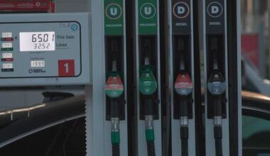 Government to slash excise duty by up to a quarter in bid to ease worst fuel crisis in living memory