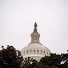 The dome of the U.S. Capitol is framed through a tree on January 25. Snow had accumulated in various nooks of the come.