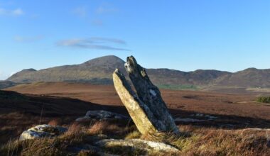 Croagh Patrick: Pair of standing stones among more than 50 monuments uncovered at the Reek