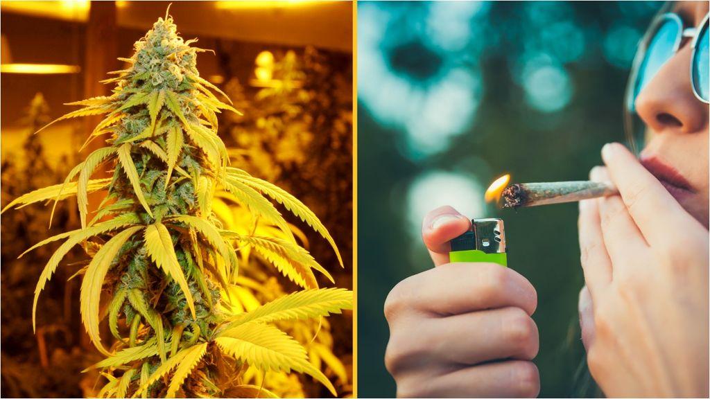 Doctor reveals the worrying impact smoking weed can have on your brain