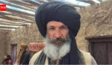 Dhurandhar 2: Who is Bimal Oberoi? All about the actor who played Shirani Baloch in Ranveer Singh's ' 'Dhurandhar: The Revenge' |