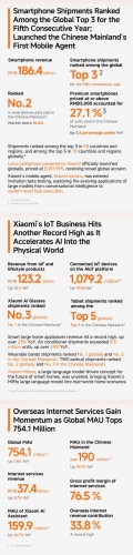 Xiaomi financial report for 2025