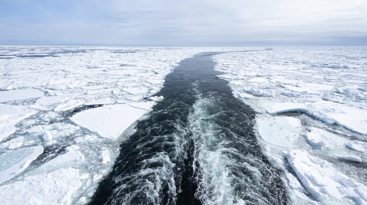 Arctic sea ice hits lowest winter level on record