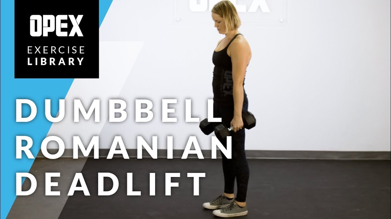 Dumbbell Romanian Deadlift - OPEX Exercise Library - YouTube
