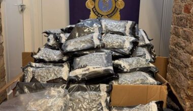 Two men (50s) arrested as gardai seize €1.5m worth of cannabis in South Dublin