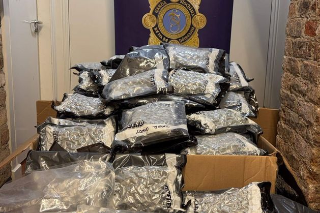 Two men (50s) arrested as gardai seize €1.5m worth of cannabis in South Dublin